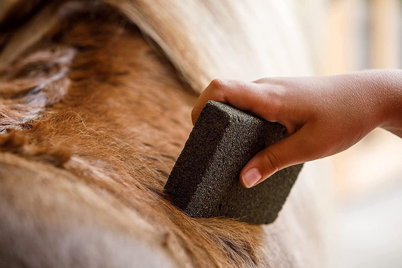 Farnam Slick 'N Easy Grooming Block for Horse