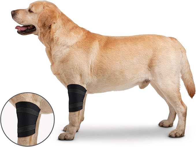 ZenPet Elbow Wrap for Dogs (X-Small)