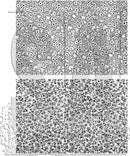 Stampers Anonymous - Tim Holtz - Tiny Prints Cling Stamps - CMS460