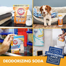 Arm & Hammer Baking Soda Fridge-N-Freezer Odor Absorber, Orange 14 Oz, Pack of 12 Church & Dwight